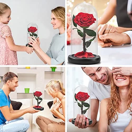 SW Forever Preserved Rose in Glass Dome, Red | Eternal Rose for Gifting thumbnail 4
