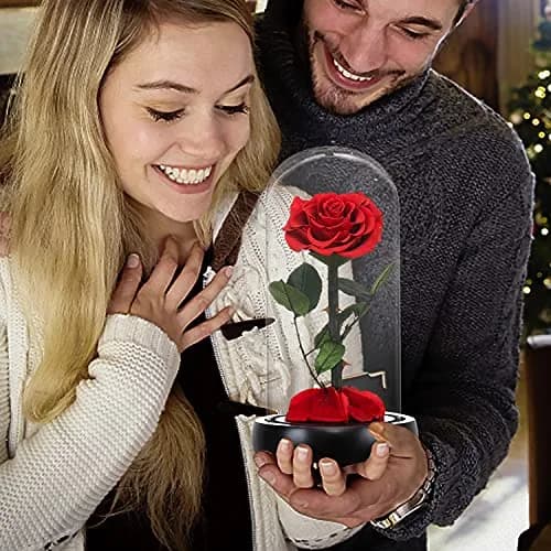 SW Forever Preserved Rose in Glass Dome, Red | Eternal Rose for Gifting thumbnail 5
