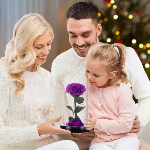 SW Preserved Real Rose Flower in Glass Dome | Romantic Gift for Women in Her Birthday & Anniversary thumbnail 4