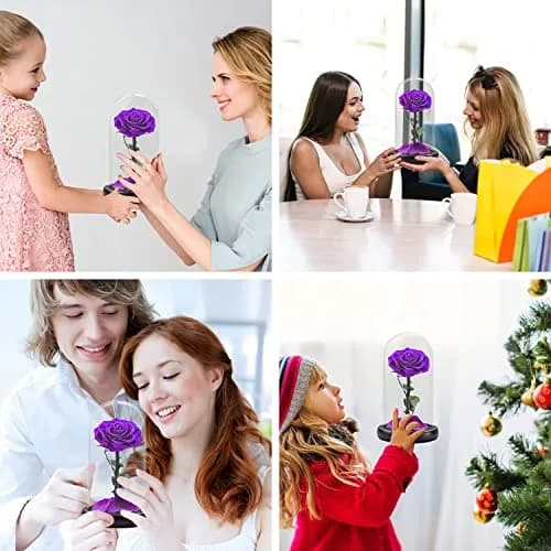 SW Preserved Real Rose Flower in Glass Dome | Romantic Gift for Women in Her Birthday & Anniversary thumbnail 5