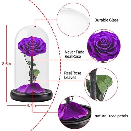 SW Preserved Real Rose Flower in Glass Dome | Romantic Gift for Women in Her Birthday & Anniversary thumbnail 6