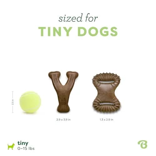 Benebone Tiny 2-Pack Dog Chew Toys, Real Bacon Flavor | Durable Nylon for Small Dogs thumbnail 4