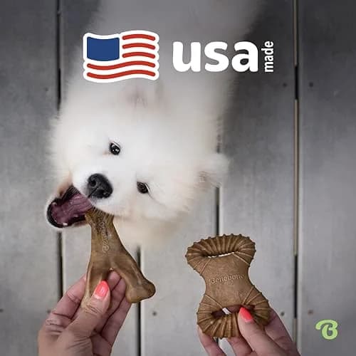 Benebone Tiny 2-Pack Dog Chew Toys, Real Bacon Flavor | Durable Nylon for Small Dogs thumbnail 5