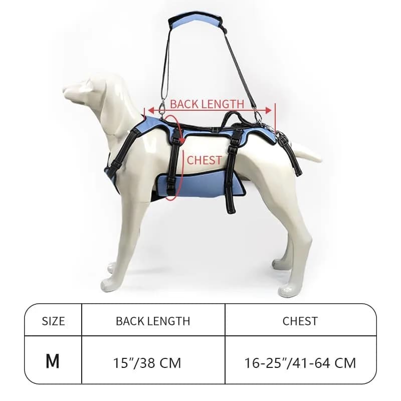 Coodeo Blue Dog Lift Harness for Hind Legs Support & Rehabilitation, Medium Size | Breathable Mesh Sling for Old, Injured, Disabled Dogs thumbnail 9