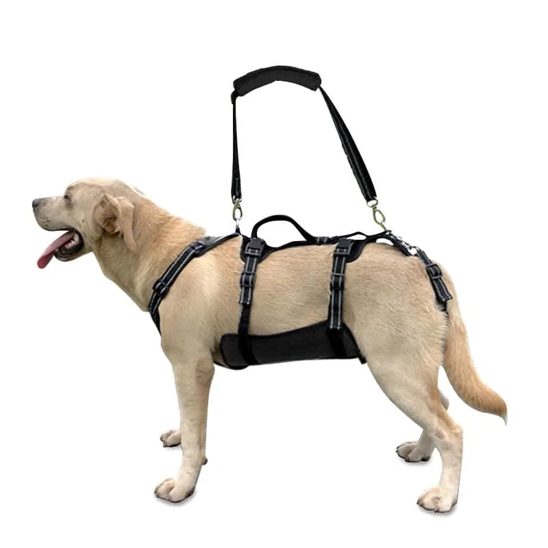 Coodeo Dog Lift Harness Full Body Support Sling for Old Dogs with Arthritis XL Blue | Dog Rehabilitation Vest for Stairs & Cars thumbnail 2