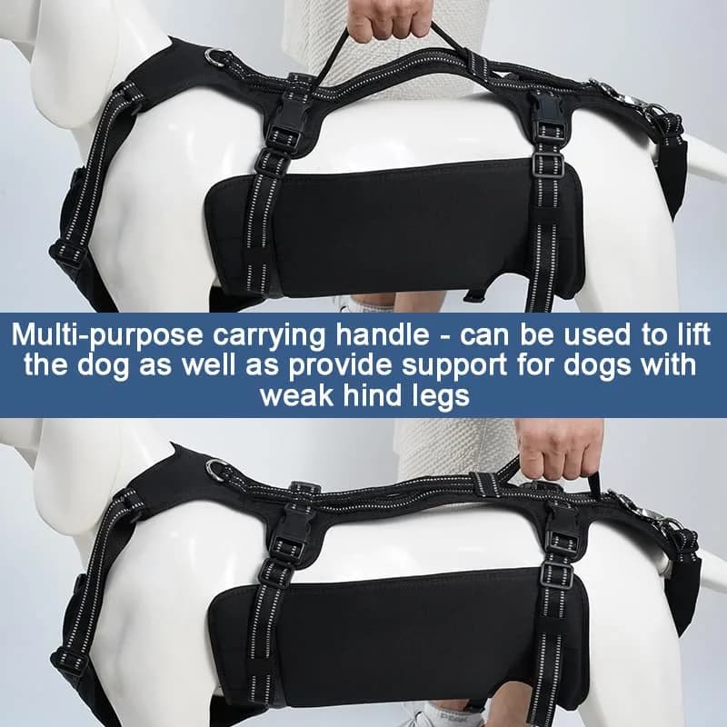 Coodeo Dog Lift Harness Full Body Support Sling for Old Dogs with Arthritis XL Blue | Dog Rehabilitation Vest for Stairs & Cars thumbnail 11