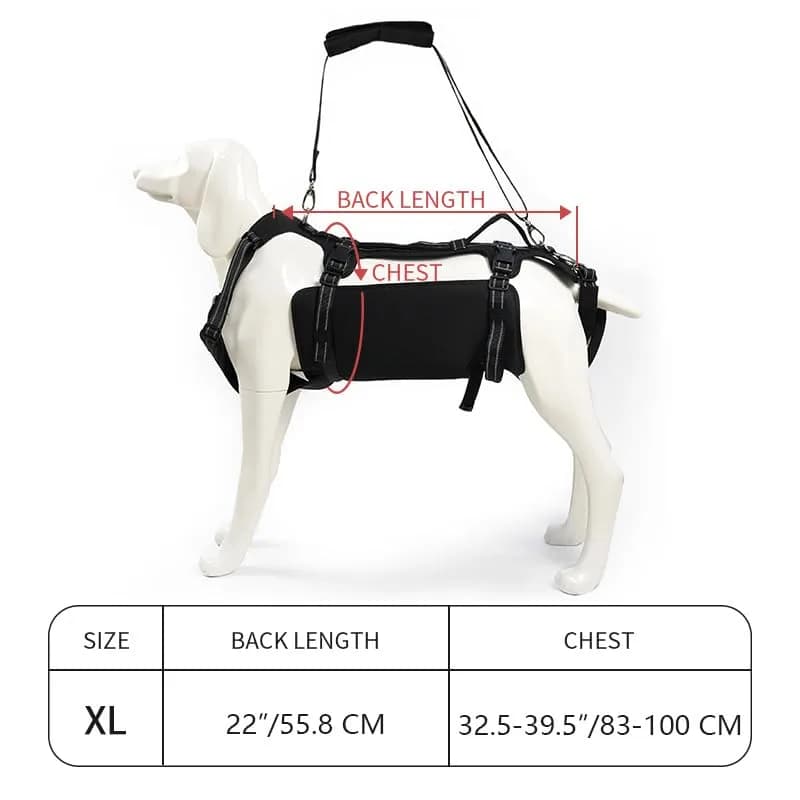 Coodeo Dog Lift Harness Full Body Support Sling for Old Dogs with Arthritis XL Blue | Dog Rehabilitation Vest for Stairs & Cars thumbnail 10