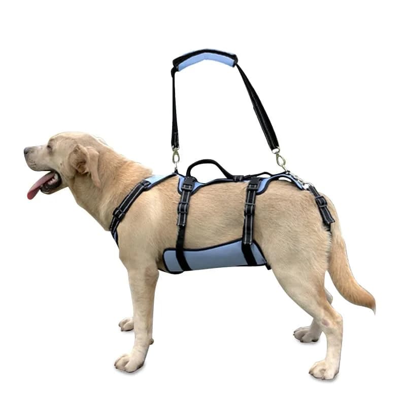 Coodeo Dog Lift Harness Full Body Support Sling for Old Dogs with Arthritis XL Blue | Dog Rehabilitation Vest for Stairs & Cars — Blue / L