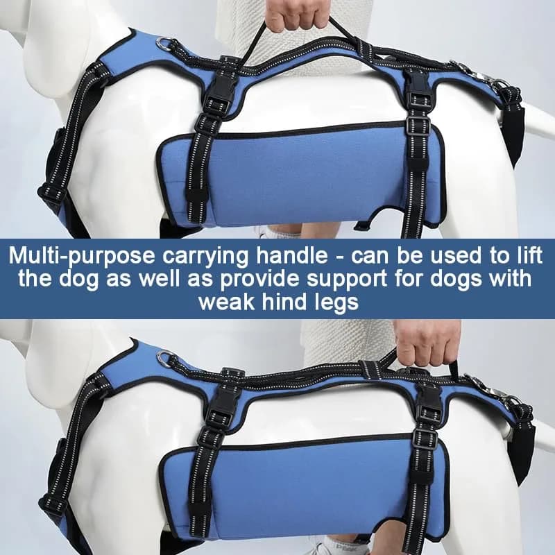 Coodeo Dog Lift Harness Full Body Support Sling for Large Dogs | Breathable Polyester Blend Blue L thumbnail 12