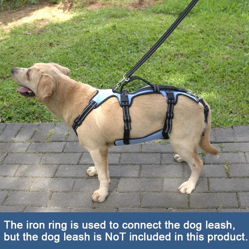 Coodeo Dog Lift Harness Full Body Support Sling for Large Dogs | Breathable Polyester Blend Blue L thumbnail 7