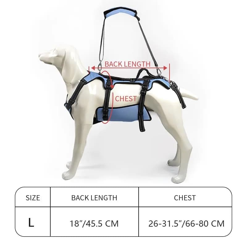 Coodeo Dog Lift Harness Full Body Support Sling for Large Dogs | Breathable Polyester Blend Blue L thumbnail 10