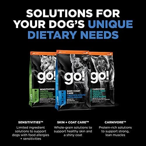 Go! Solutions Skin + Coat Care Chicken Dry Dog Food, 3.5 lb | Supports Healthy Skin & Shiny Coat thumbnail 6