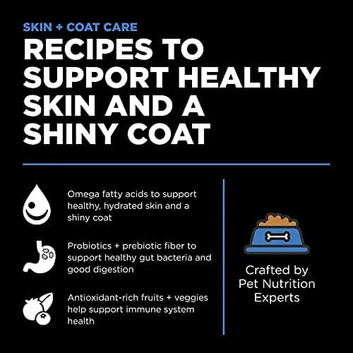 Go! Solutions Skin + Coat Care Chicken Dry Dog Food, 3.5 lb | Supports Healthy Skin & Shiny Coat thumbnail 2