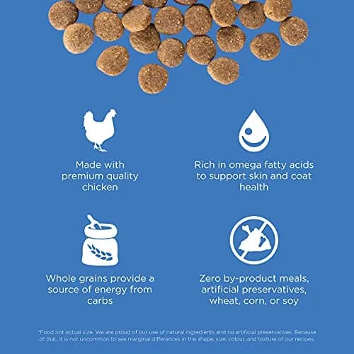 Go! Solutions Skin + Coat Care Chicken Dry Dog Food, 3.5 lb | Supports Healthy Skin & Shiny Coat thumbnail 3