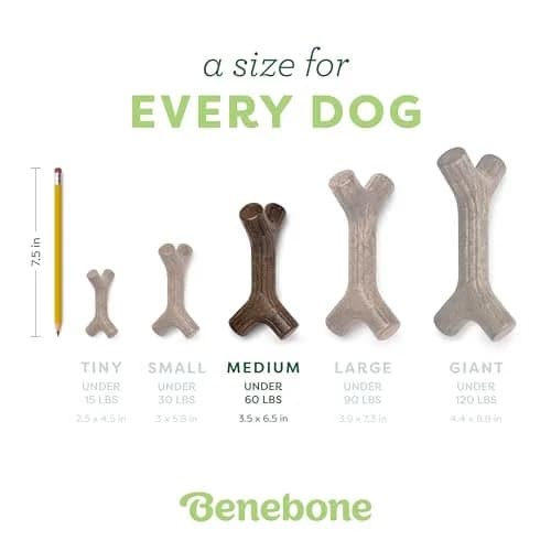 Benebone Dog Chew Toy Durable Bacon Stick | Long-Lasting, Made in USA (Medium) thumbnail 4