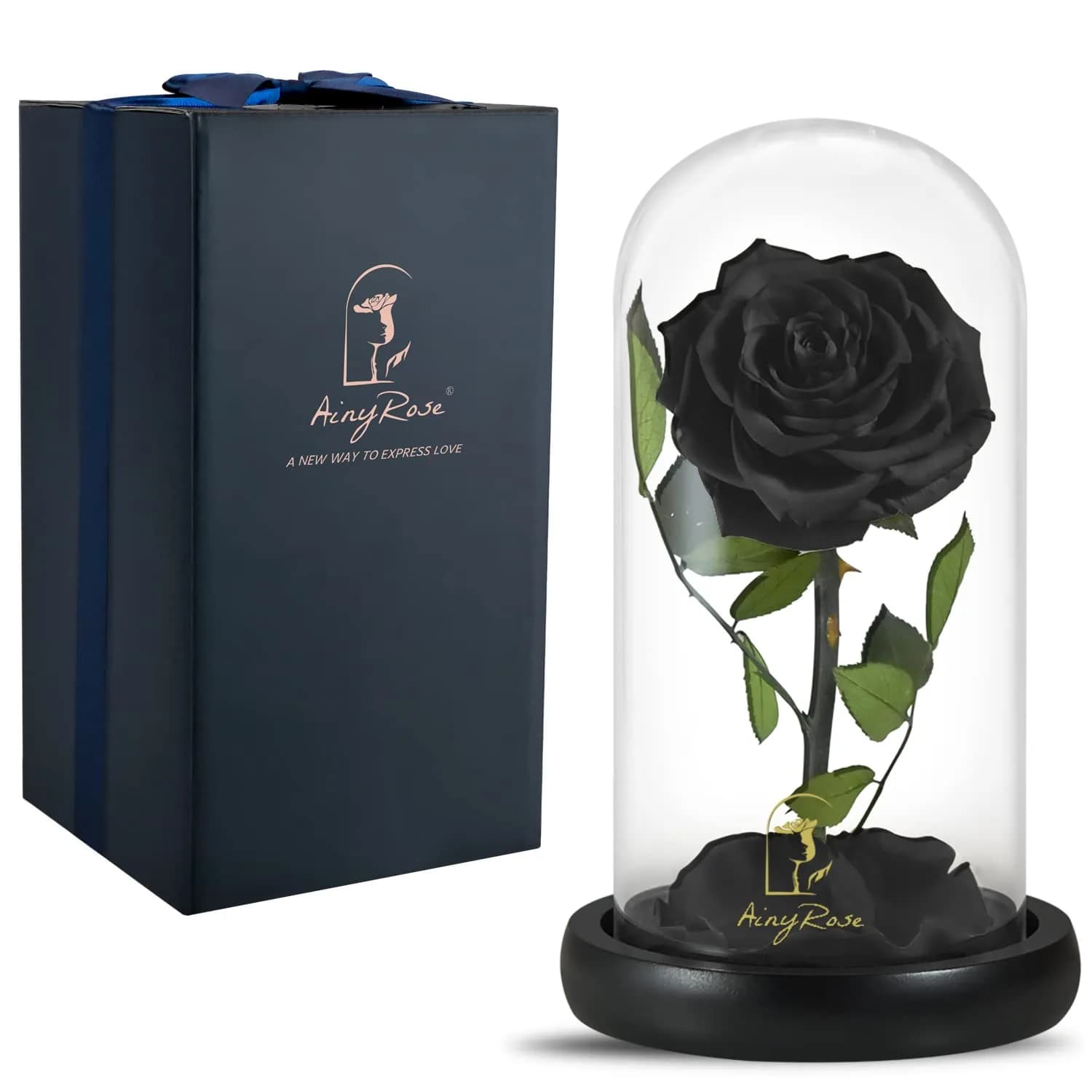 SW Forever Preserved Real Black Rose Flower in Glass Dome with Gift Box | 11.9 cm (4.7 inch) Diameter - main product image