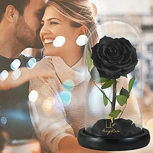 SW Forever Preserved Real Black Rose Flower in Glass Dome with Gift Box | 11.9 cm (4.7 inch) Diameter thumbnail 2