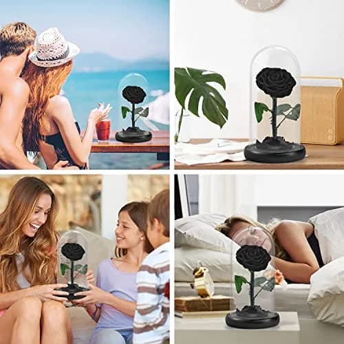 SW Forever Preserved Real Black Rose Flower in Glass Dome with Gift Box | 11.9 cm (4.7 inch) Diameter thumbnail 3