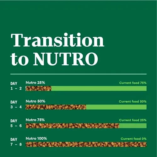 Nutro Wholesome Essentials Kitten Dry Cat Food, Chicken & Rice, 5 lb | Balanced Nutrition for Growing Kittens thumbnail 8