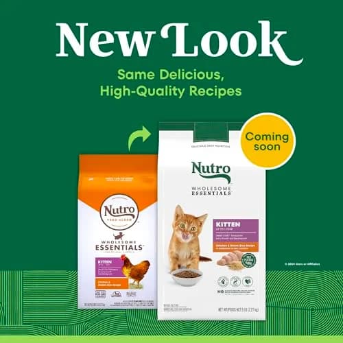 Nutro Wholesome Essentials Kitten Dry Cat Food, Chicken & Rice, 5 lb | Balanced Nutrition for Growing Kittens thumbnail 2
