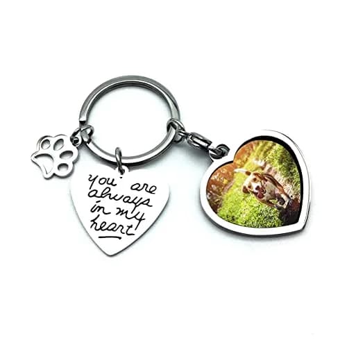 bouti1583 Pet Dog Remembrance Memorial Photo Frame Keychain | Heart-Shaped Stainless Steel Keepsake thumbnail 1