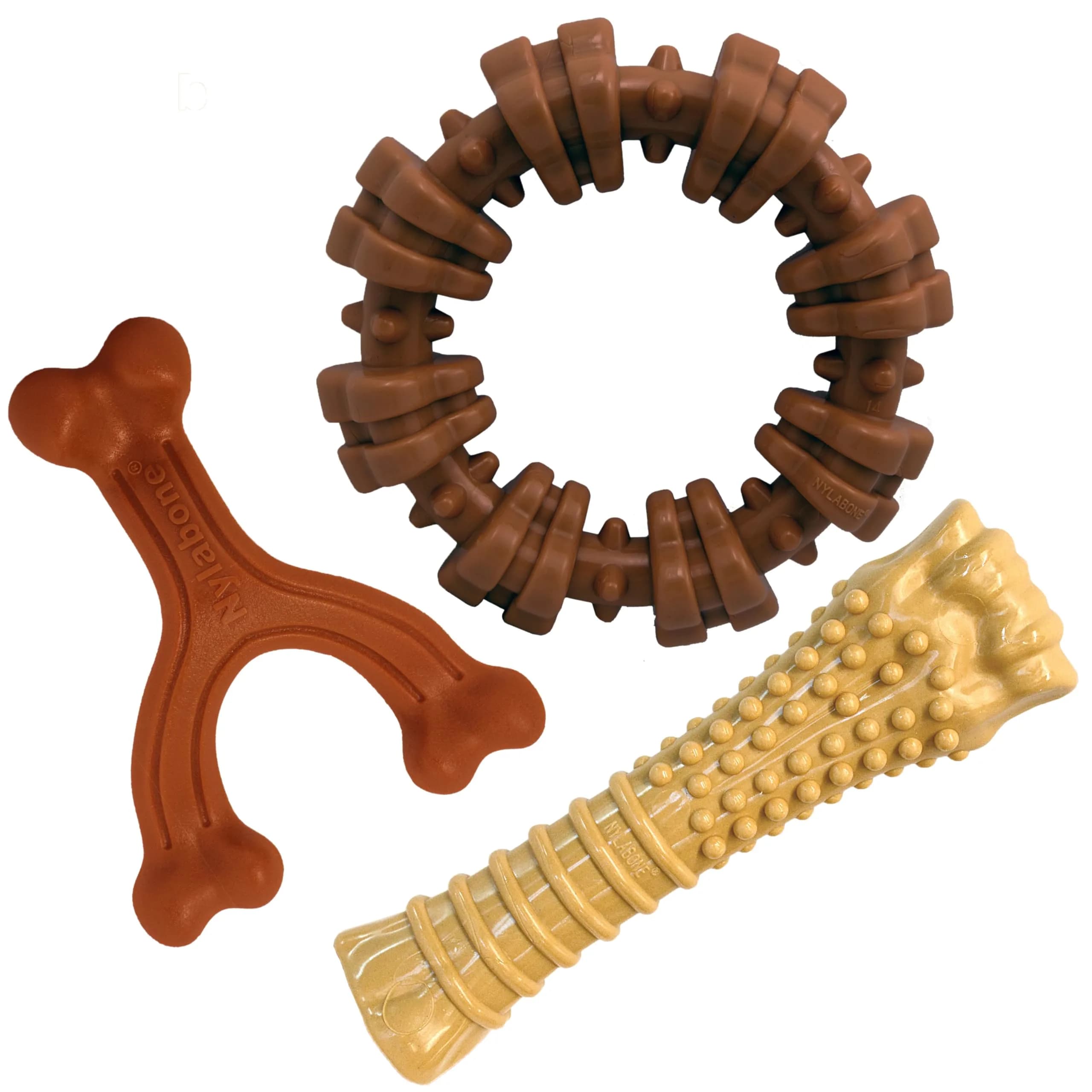 Nylabone Textured Ring Power Chew Toy for X-Large Dogs 50+ lbs | Durable Nylon Chew Toy for Aggressive Chewers — Bundle