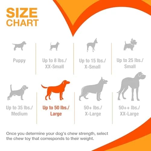 Nylabone Power Chew Customer Favorites Dog Chew Toys, Large, 3 Count | Tough Nylon for Aggressive Chewers thumbnail 6