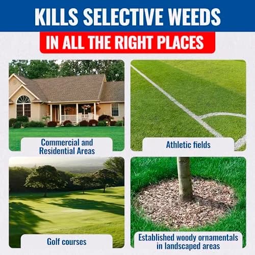 SEDGEHAMMER Sedgehammer Plus Turf Herbicide 13.5g | Nutsedge Killer for Lawns, 12 Pack thumbnail 7