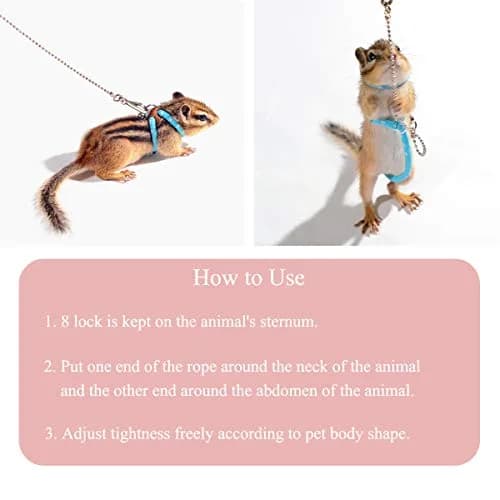 Wontee Adjustable Leash Harness with Bell for Small Animals | Soft Nylon & Metal, Blue, 6-15cm Neck, 8-18cm Chest, 83cm Length thumbnail 5