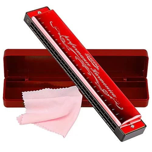 EastyGold Harmonica Mouthorgan Harp 24 Hole C Key | Polyphonic Diatonic Instrument for Blues & Folk thumbnail 1