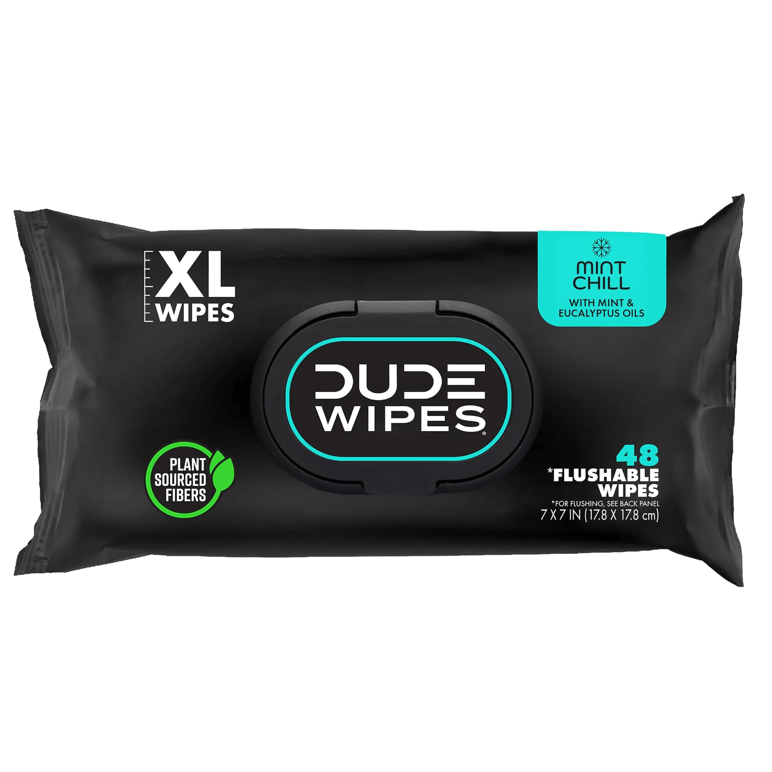 DUDE Wipes Mint Chill Adult Flushable Wet Wipes 48 Count | Refreshing, Hypoallergenic & Sewer Safe — White