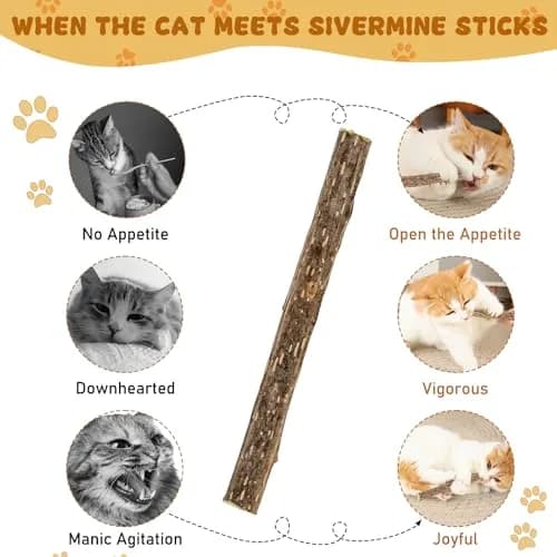 WoLover 12 PCS Silvervine Sticks for Cat, Natural Matatabi Chew Toys | 100% Wild Organic thumbnail 4