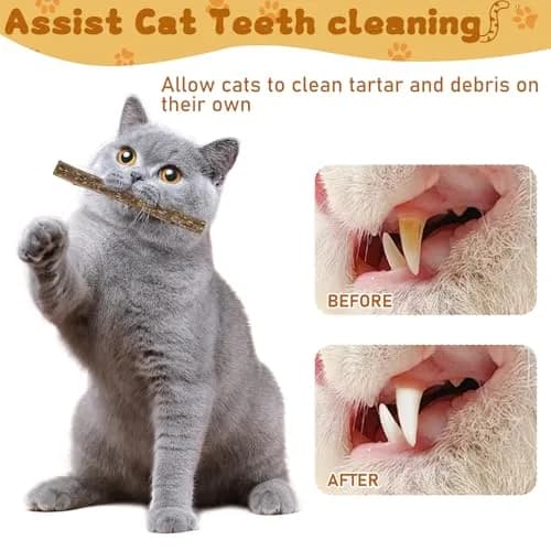 WoLover 12 PCS Silvervine Sticks for Cat, Natural Matatabi Chew Toys | 100% Wild Organic thumbnail 5
