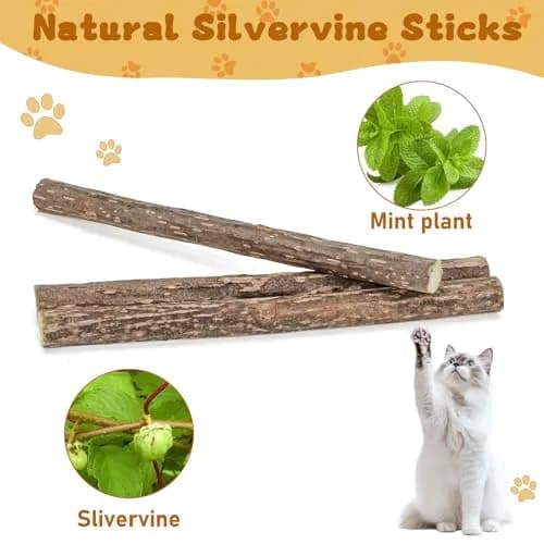 WoLover 12 PCS Silvervine Sticks for Cat, Natural Matatabi Chew Toys | 100% Wild Organic thumbnail 6