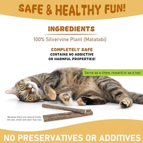 WoLover 12 PCS Silvervine Sticks for Cat, Natural Matatabi Chew Toys | 100% Wild Organic thumbnail 7
