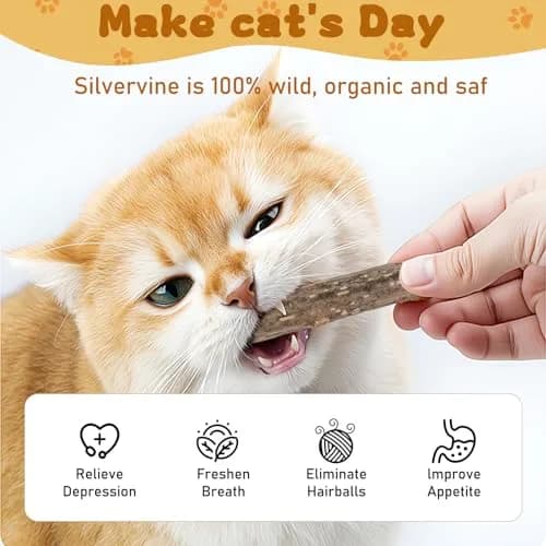 WoLover 12 PCS Silvervine Sticks for Cat, Natural Matatabi Chew Toys | 100% Wild Organic thumbnail 3