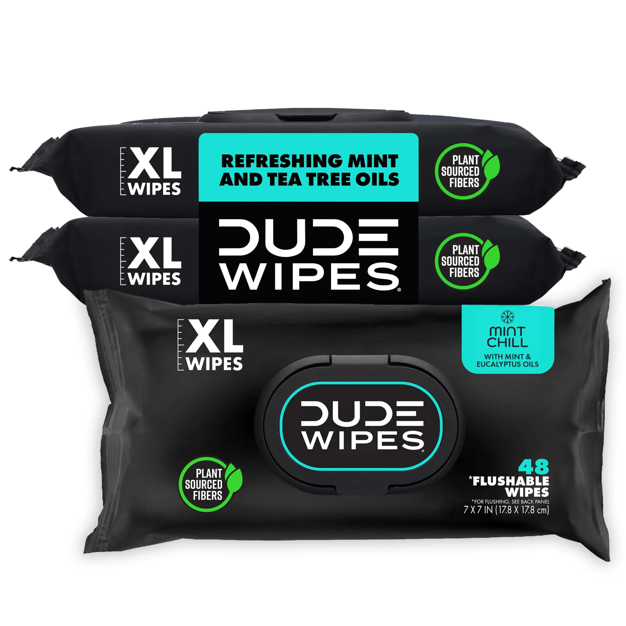 DUDE Wipes Mint Chill Adult Flushable Wet Wipes 48 Count | Refreshing, Hypoallergenic & Sewer Safe — Mint
