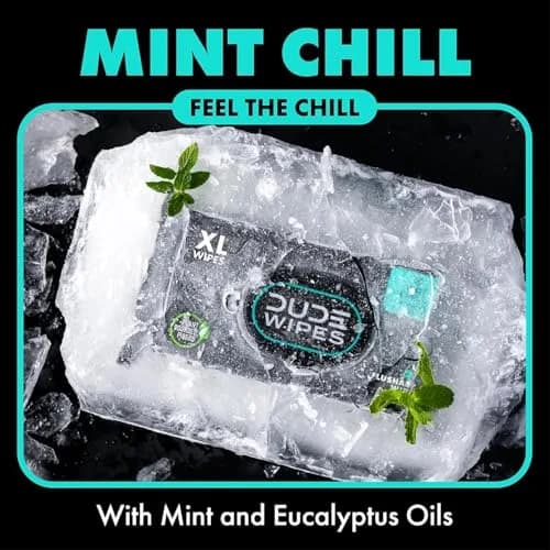 DUDE Wipes Mint Chill Adult Flushable Wet Wipes 144 Count | Refreshing, Plant-Based, Hypoallergenic thumbnail 2