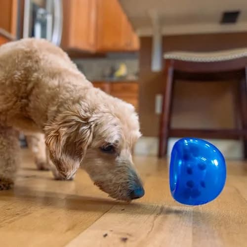 Outward Hound Lil' Snoop Interactive Treat Dispensing Dog Toy, Blue, 4" | Puzzle & Slow Feeder for Small & Medium Dogs thumbnail 8