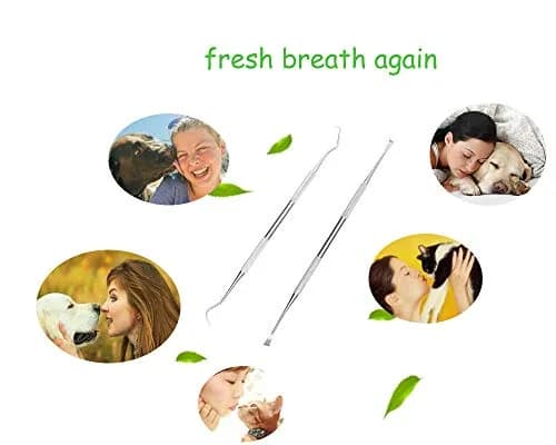 wzhe Dog Teeth Cleaning Tools Tarter Remover Canine Dental Scraper Scaler Set | 2-Piece Stainless Steel thumbnail 4