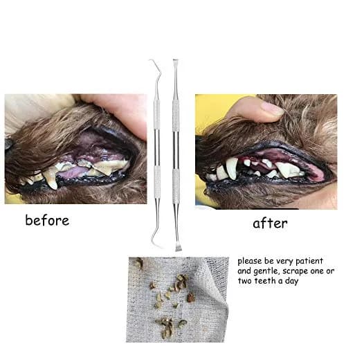 wzhe Dog Teeth Cleaning Tools Tarter Remover Canine Dental Scraper Scaler Set | 2-Piece Stainless Steel thumbnail 3