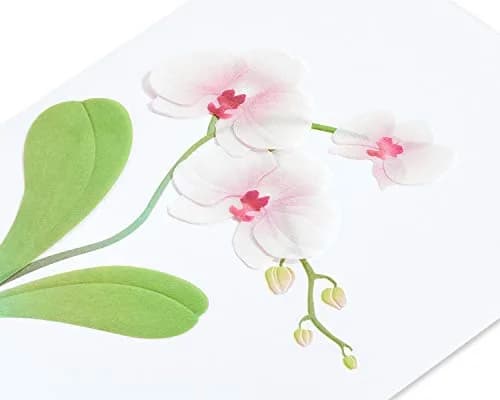 Papyrus Orchid Blank Card for Her 15.2 cm x 11.4 cm | Floral Embellished Design thumbnail 5