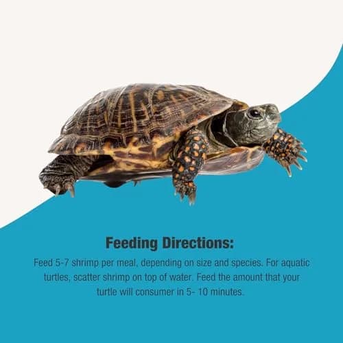 Fluker's Grub Bag Turtle Treats 12 oz | High Protein Freeze Dried River Shrimp for Aquatic Reptiles thumbnail 4