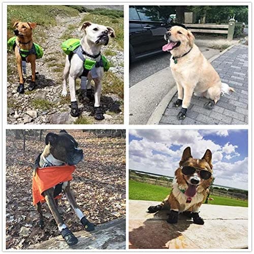 PK.ZTopia Waterproof Dog Boots Size 5 (2.76"x2.56") | Rugged Anti-Slip Sole for Medium-Large Dogs thumbnail 6