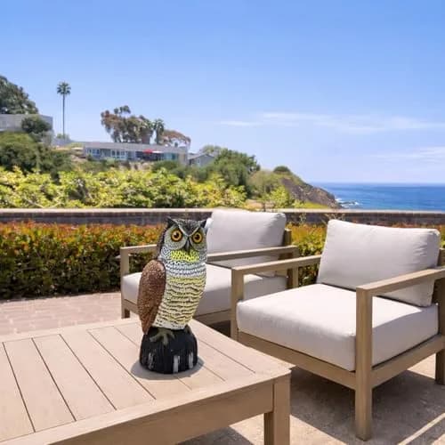 GiftExpress 16" Large Owl Decoy with Rotating Head | Realistic Garden Bird & Squirrel Deterrent for Outdoor Yard & Garden Protection thumbnail 6