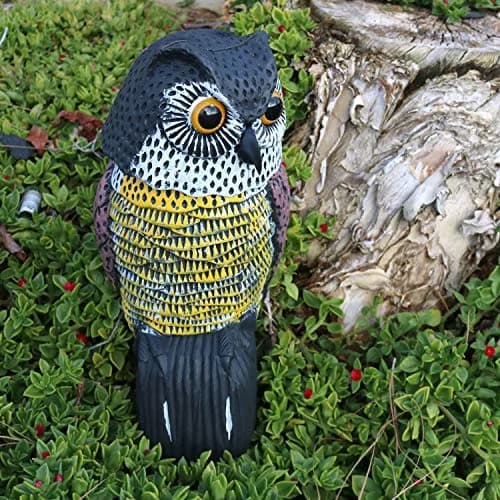 GiftExpress 16" Large Owl Decoy with Rotating Head | Realistic Garden Bird & Squirrel Deterrent for Outdoor Yard & Garden Protection thumbnail 8