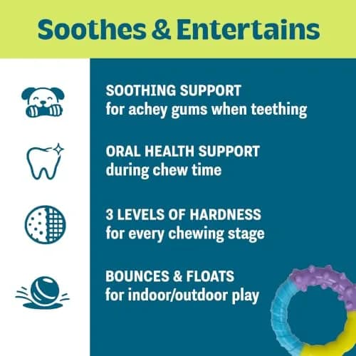 Pupstages Grow-With-Me Ring Dental Dog Chew Toy, 4.7" | Floats & Bounces, Soothes Gums thumbnail 3