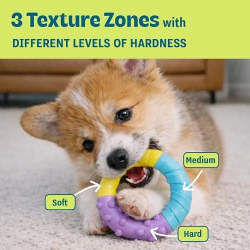 Pupstages Grow-With-Me Ring Dental Dog Chew Toy, 4.7" | Floats & Bounces, Soothes Gums thumbnail 4