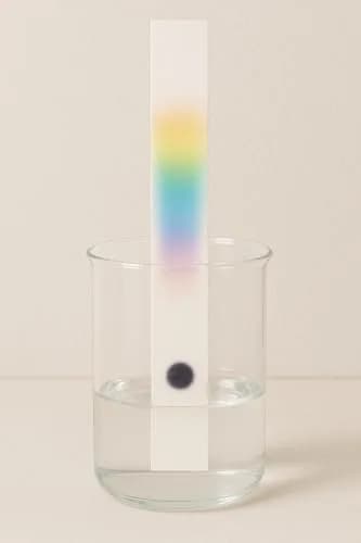 Bartovation Chromatography Paper, 6 x 3/4 in, Grade 1 | Laboratory Grade for Separating Mixtures thumbnail 3