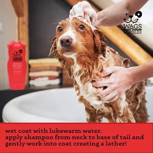 Wags & Wiggles 2-in-1 Dog Shampoo & Conditioner Fruity Watermelon 473ml (16 Fl Oz) | Gentle pH-Balanced Formula for All Dogs thumbnail 4